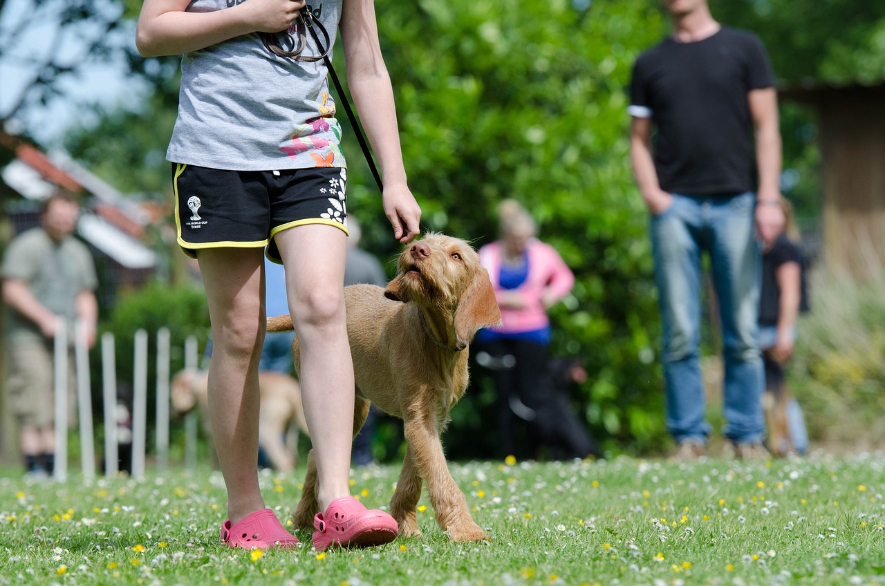 "Leave It": Curbing Unwanted Behaviors